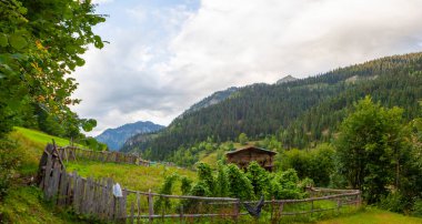 avat is the town and center of Artvin province, at the eastern end of the Black Sea Region. The name avat comes from the Georgian aveti and the town of avat is one of the settlements of the historical aveti region.