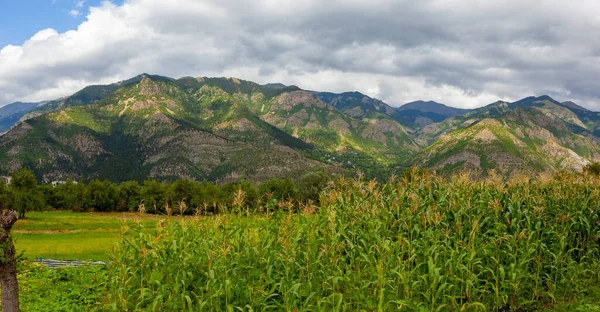avat is the town and center of Artvin province, at the eastern end of the Black Sea Region. The name avat comes from the Georgian aveti and the town of avat is one of the settlements of the historical aveti region.