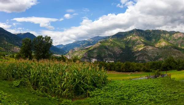 avat is the town and center of Artvin province, at the eastern end of the Black Sea Region. The name avat comes from the Georgian aveti and the town of avat is one of the settlements of the historical aveti region.