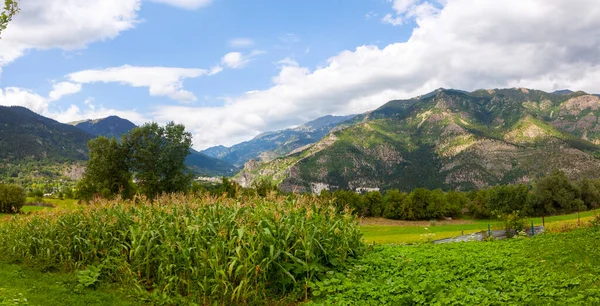 avat is the town and center of Artvin province, at the eastern end of the Black Sea Region. The name avat comes from the Georgian aveti and the town of avat is one of the settlements of the historical aveti region.