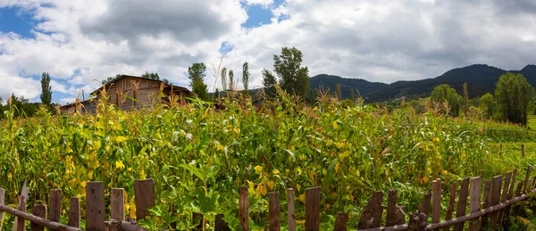 avat is the town and center of Artvin province, at the eastern end of the Black Sea Region. The name avat comes from the Georgian aveti and the town of avat is one of the settlements of the historical aveti region.