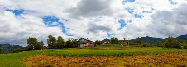 avat is the town and center of Artvin province, at the eastern end of the Black Sea Region. The name avat comes from the Georgian aveti and the town of avat is one of the settlements of the historical aveti region.