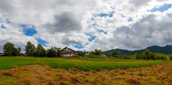 avat is the town and center of Artvin province, at the eastern end of the Black Sea Region. The name avat comes from the Georgian aveti and the town of avat is one of the settlements of the historical aveti region.