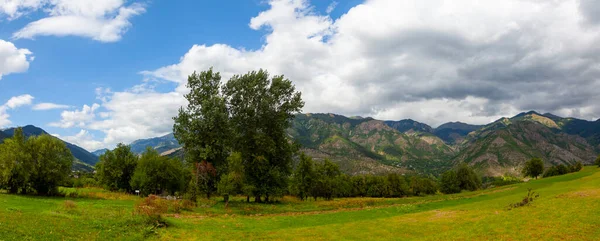 avat is the town and center of Artvin province, at the eastern end of the Black Sea Region. The name avat comes from the Georgian aveti and the town of avat is one of the settlements of the historical aveti region.