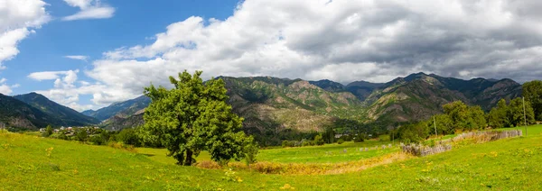 avat is the town and center of Artvin province, at the eastern end of the Black Sea Region. The name avat comes from the Georgian aveti and the town of avat is one of the settlements of the historical aveti region.