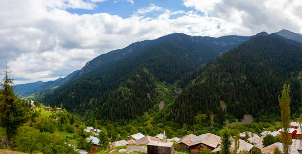 avat is the town and center of Artvin province, at the eastern end of the Black Sea Region. The name avat comes from the Georgian aveti and the town of avat is one of the settlements of the historical aveti region.