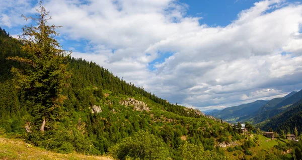 avat is the town and center of Artvin province, at the eastern end of the Black Sea Region. The name avat comes from the Georgian aveti and the town of avat is one of the settlements of the historical aveti region.