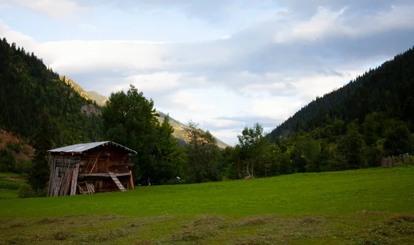 avat is the town and center of Artvin province, at the eastern end of the Black Sea Region. The name avat comes from the Georgian aveti and the town of avat is one of the settlements of the historical aveti region.