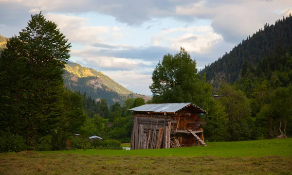avat is the town and center of Artvin province, at the eastern end of the Black Sea Region. The name avat comes from the Georgian aveti and the town of avat is one of the settlements of the historical aveti region.