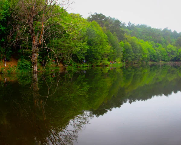 Erikli waterfall and Erikli Lake / Yalova - Turkey