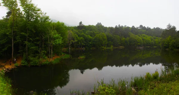Erikli waterfall and Erikli Lake / Yalova - Turkey