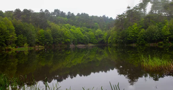 Erikli waterfall and Erikli Lake / Yalova - Turkey