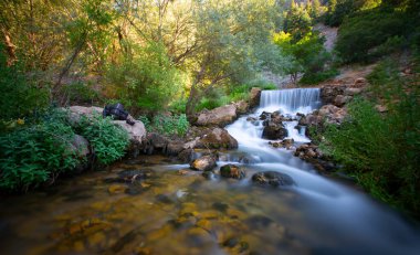 Yenice Forests is a forest located within the borders of Yenice district of Karabk province. It takes its name from the district. It is among the few forests of the world with its biological diversity and wildlife.