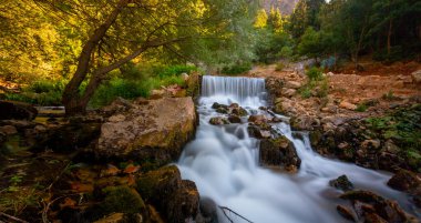 Yenice Forests is a forest located within the borders of Yenice district of Karabk province. It takes its name from the district. It is among the few forests of the world with its biological diversity and wildlife.