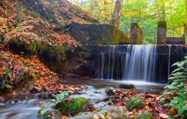 Yedigller National Park also has a strong infrastructure for scientific studies and research. Containing a large number of plant species, the national park has mixed natural forests.
