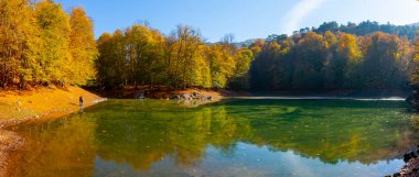 Yedigller National Park also has a strong infrastructure for scientific studies and research. Containing a large number of plant species, the national park has mixed natural forests.