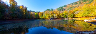 Yedigller National Park also has a strong infrastructure for scientific studies and research. Containing a large number of plant species, the national park has mixed natural forests.