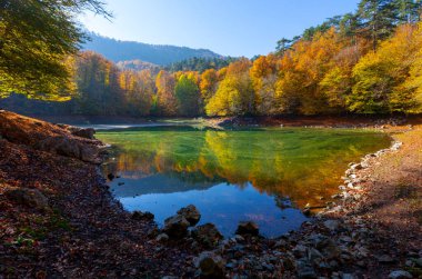 Yedigller National Park also has a strong infrastructure for scientific studies and research. Containing a large number of plant species, the national park has mixed natural forests.