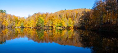 Yedigller National Park also has a strong infrastructure for scientific studies and research. Containing a large number of plant species, the national park has mixed natural forests.