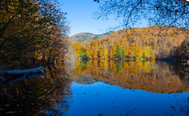 Yedigller National Park also has a strong infrastructure for scientific studies and research. Containing a large number of plant species, the national park has mixed natural forests.