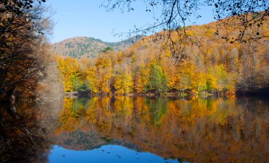 Yedigller National Park also has a strong infrastructure for scientific studies and research. Containing a large number of plant species, the national park has mixed natural forests.