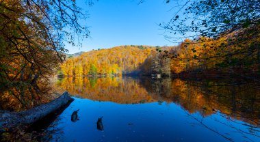 Yedigller National Park also has a strong infrastructure for scientific studies and research. Containing a large number of plant species, the national park has mixed natural forests.