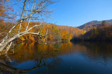 Yedigller National Park also has a strong infrastructure for scientific studies and research. Containing a large number of plant species, the national park has mixed natural forests.