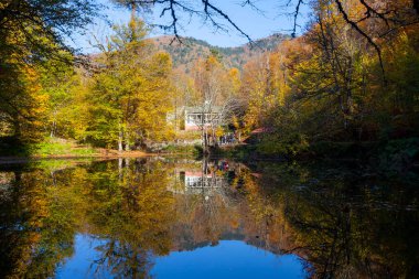 Yedigller National Park also has a strong infrastructure for scientific studies and research. Containing a large number of plant species, the national park has mixed natural forests.