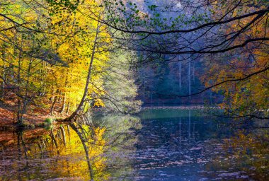 Yedigller National Park also has a strong infrastructure for scientific studies and research. Containing a large number of plant species, the national park has mixed natural forests.