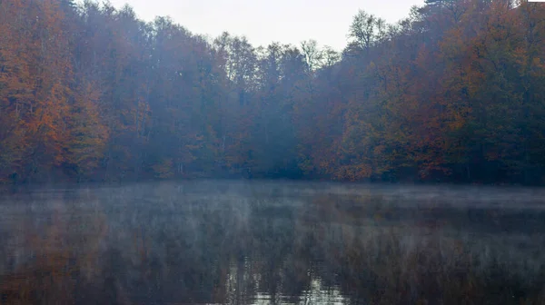 Yenice Forests Forest Located Borders Yenice District Karabk Province Takes — Stock Photo, Image