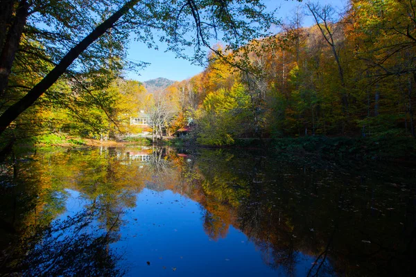 Yenice Forests is a forest located within the borders of Yenice district of Karabk province. It takes its name from the district. It is among the few forests of the world with its biological diversity and wildlife.