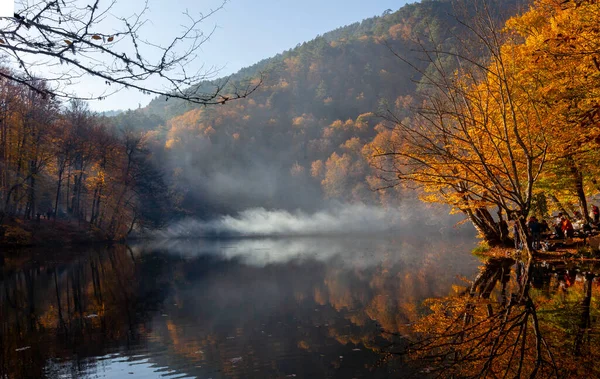 Yenice Forests is a forest located within the borders of Yenice district of Karabk province. It takes its name from the district. It is among the few forests of the world with its biological diversity and wildlife.
