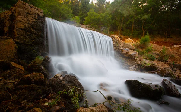 Yenice Forests is a forest located within the borders of Yenice district of Karabk province. It takes its name from the district. It is among the few forests of the world with its biological diversity and wildlife.