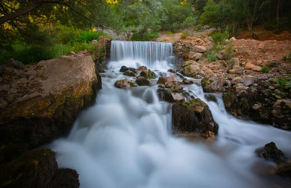 Yenice Forests is a forest located within the borders of Yenice district of Karabk province. It takes its name from the district. It is among the few forests of the world with its biological diversity and wildlife.
