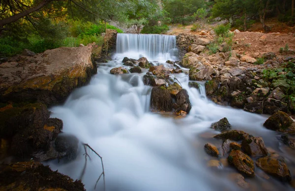 Yenice Forests is a forest located within the borders of Yenice district of Karabk province. It takes its name from the district. It is among the few forests of the world with its biological diversity and wildlife.