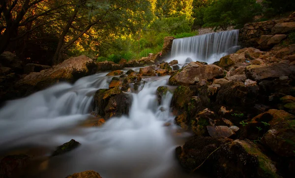 Yenice Forests is a forest located within the borders of Yenice district of Karabk province. It takes its name from the district. It is among the few forests of the world with its biological diversity and wildlife.