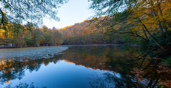 Yedigller National Park also has a strong infrastructure for scientific studies and research. Containing a large number of plant species, the national park has mixed natural forests.