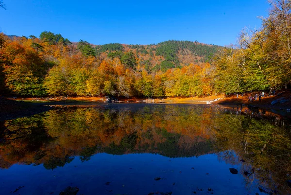 Yedigller National Park also has a strong infrastructure for scientific studies and research. Containing a large number of plant species, the national park has mixed natural forests.