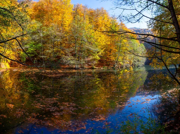 Yedigller National Park Also Has Strong Infrastructure Scientific Studies Research — Fotografia de Stock