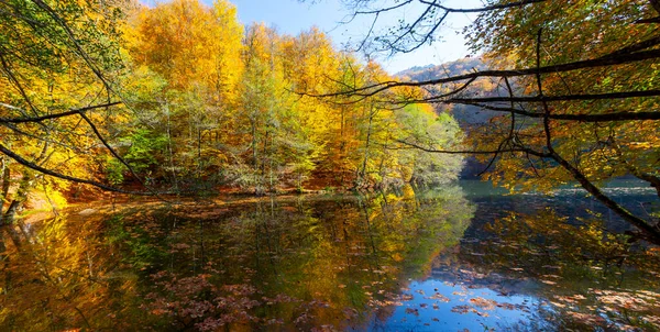 Yedigller National Park also has a strong infrastructure for scientific studies and research. Containing a large number of plant species, the national park has mixed natural forests.