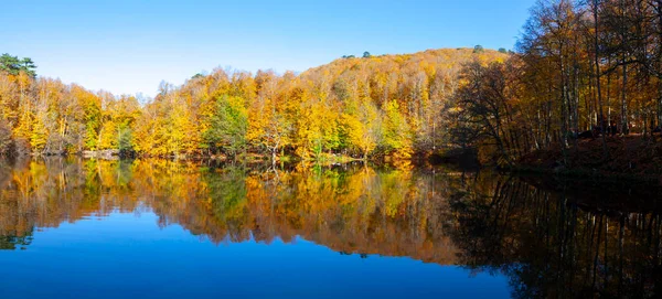 Yedigller National Park also has a strong infrastructure for scientific studies and research. Containing a large number of plant species, the national park has mixed natural forests.