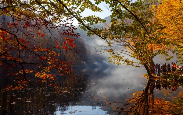 Yedigller National Park also has a strong infrastructure for scientific studies and research. Containing a large number of plant species, the national park has mixed natural forests.