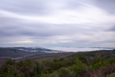 Aerial view of belgrade forests, panoramic shot on a foggy day / istanbul