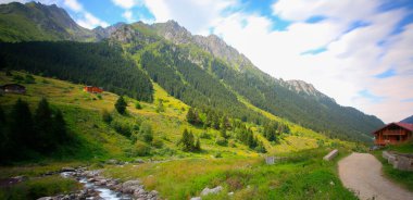 Rize 'deki Elevit Platosu. Bu plato, Rize 'nin Camlihemsin ilçesinde yer almaktadır. Kackar Dağları bölgesi. Rize, Türkiye.