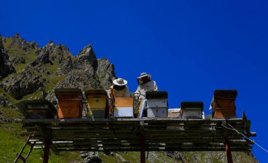 Kackar Mountains beekeeping and working workers