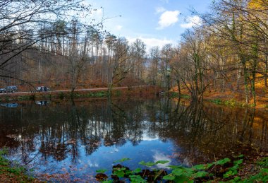 Gorgeous autumn view of the lake. Kiyikoy, Kirklareli, Turkey