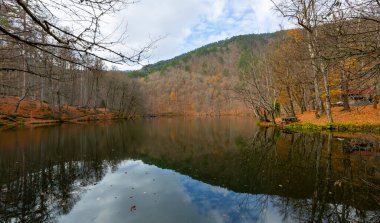 Yenice Forest Nature Park, Karabuk, Turkey.