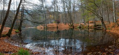 Yenice Forest Nature Park, Karabuk, Turkey.