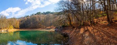 Yenice Forest Nature Park, Karabuk, Turkey.