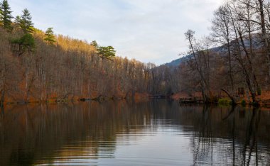 Borcka Karagol is the region where autumn is best experienced / Artvin